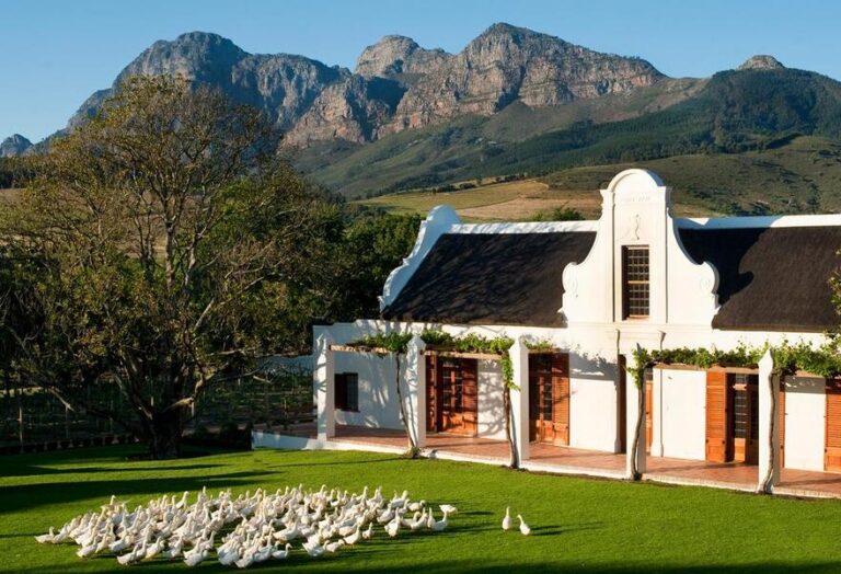 Best Vineyard Hotel Options: The 2026 Authority Reference Guide