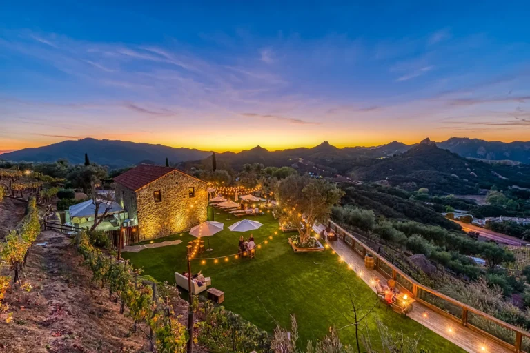 Best Vineyard Hotels for Weddings: The 2026 Authority Reference Guide