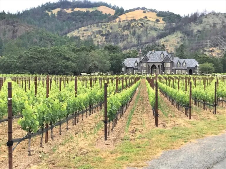 How to Avoid Vineyard Travel Scams: The 2026 Authority Reference Guide