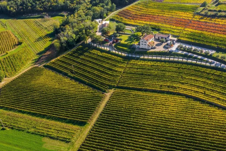 How to Plan Wine Tours on a Budget: The 2026 Authority Reference