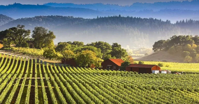 How to Reduce Vineyard Stay Costs: The 2026 Strategic Authority Guide