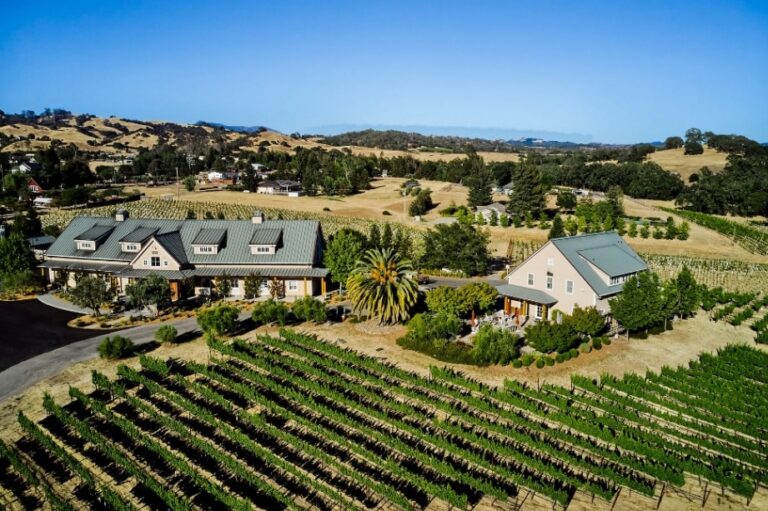 Top American Vineyard Travel Destinations: The 2026 Authority Reference