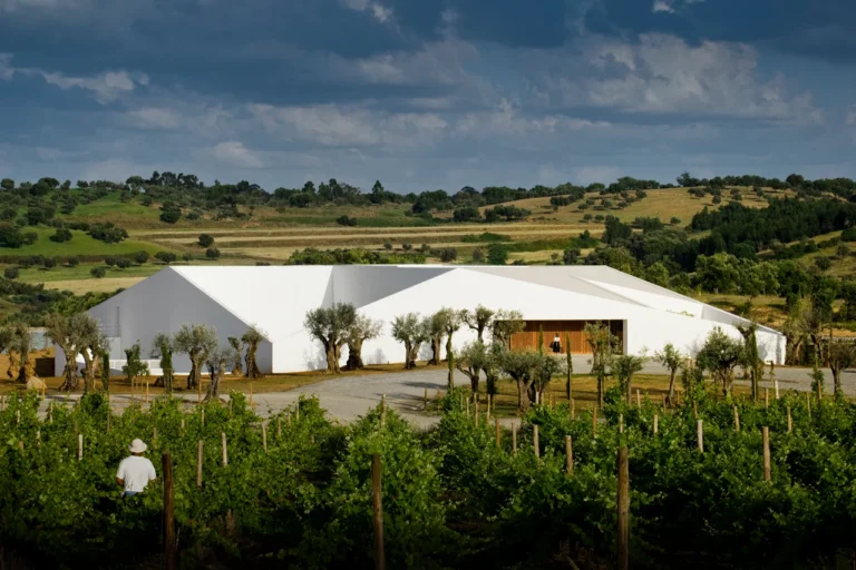 Vineyard Hotel Architecture Overview: The 2026 Authority Reference