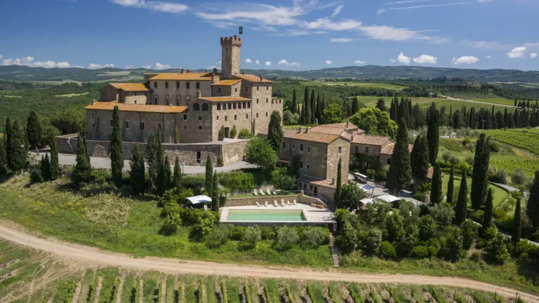 Vineyard Hotel Harvest Tips: The 2026 Authority Reference