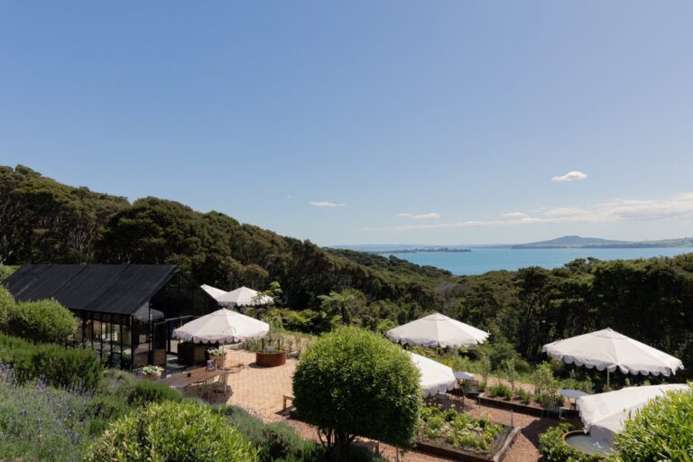 Vineyard Hotel Tasting Options: The 2026 Authority Reference